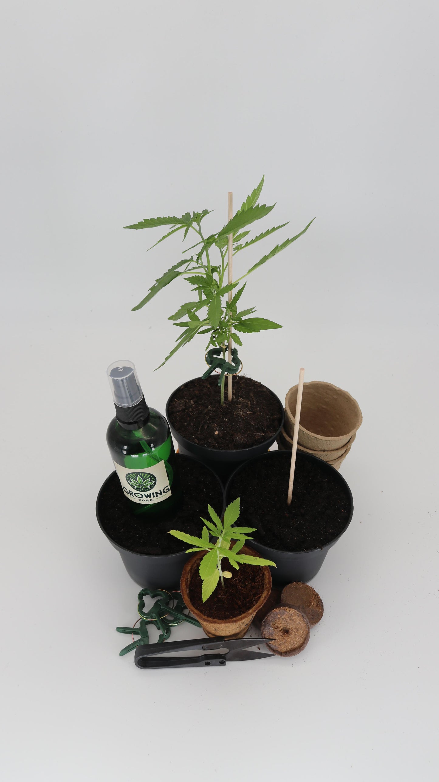 Cannabis Anbau Starter-Kit
