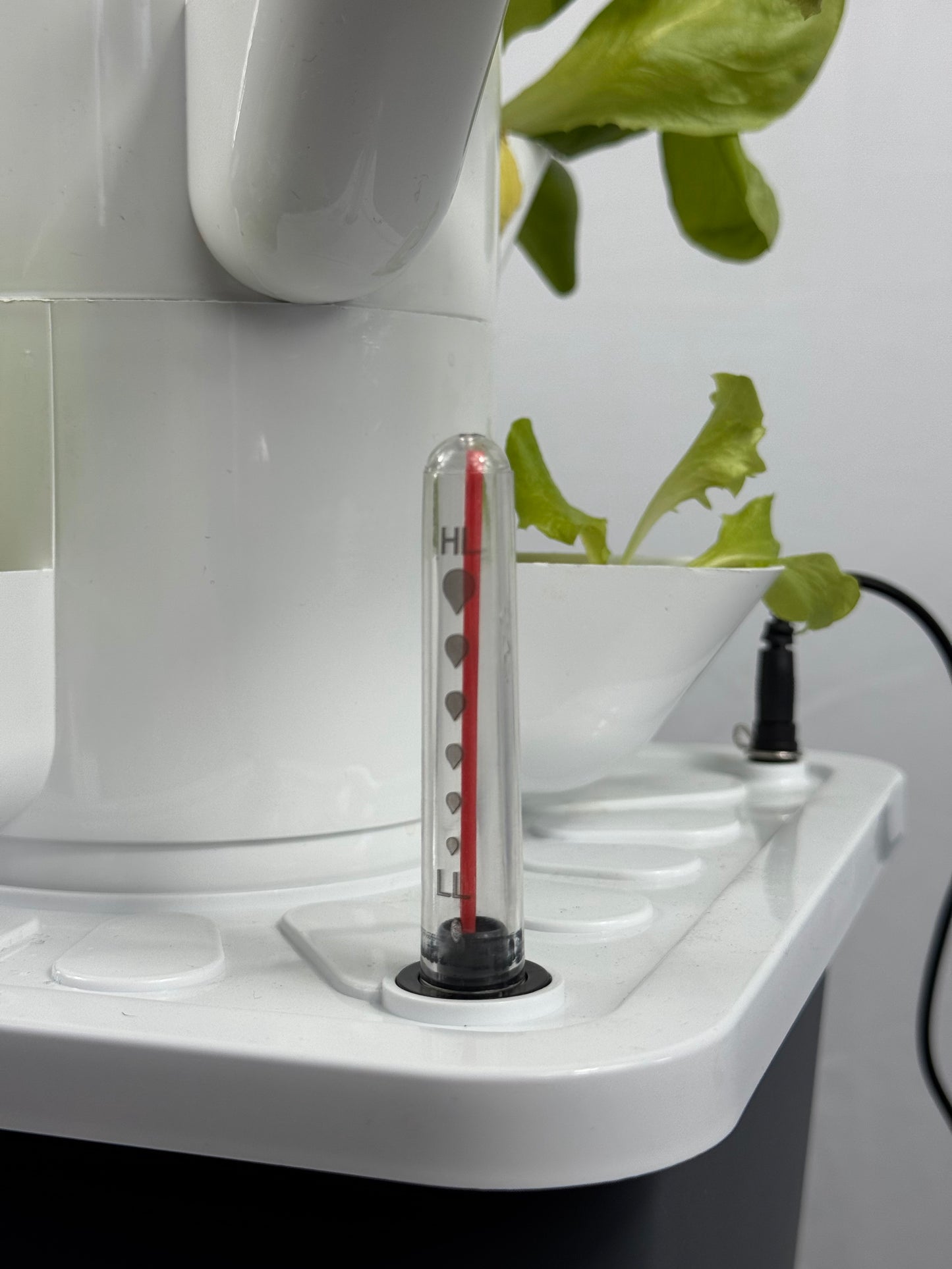 Pflanzturm Hydrokultur