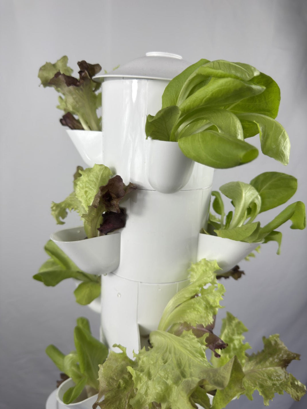 Pflanzturm Hydrokultur
