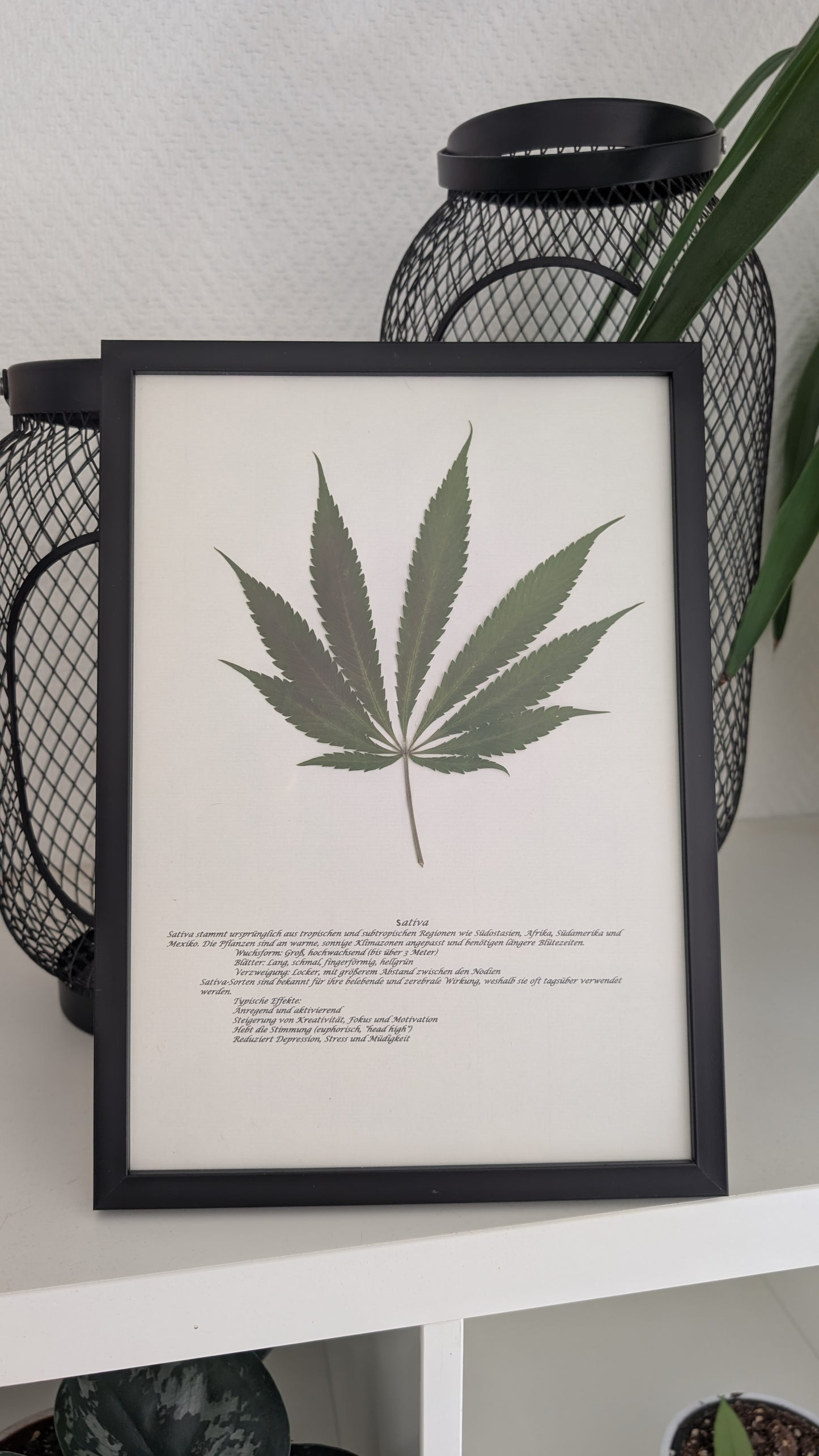 Cannabis Deko Naturbild