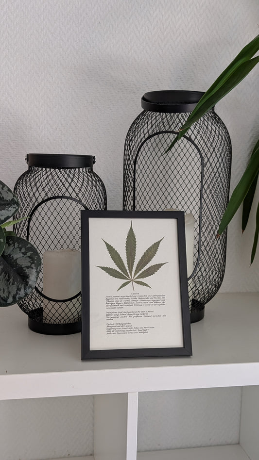 Cannabis Deko Naturbild