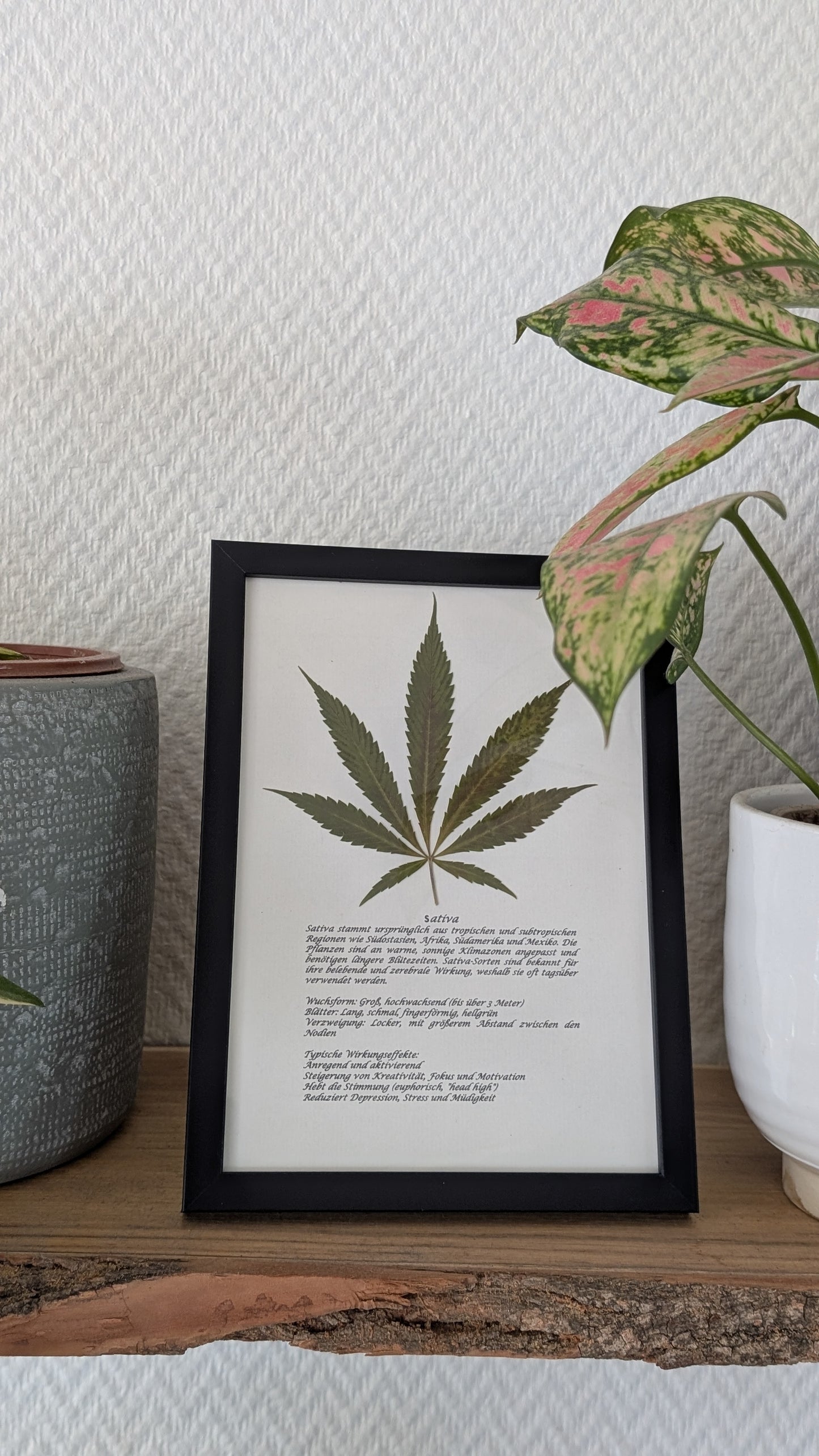 Cannabis Deko Naturbild