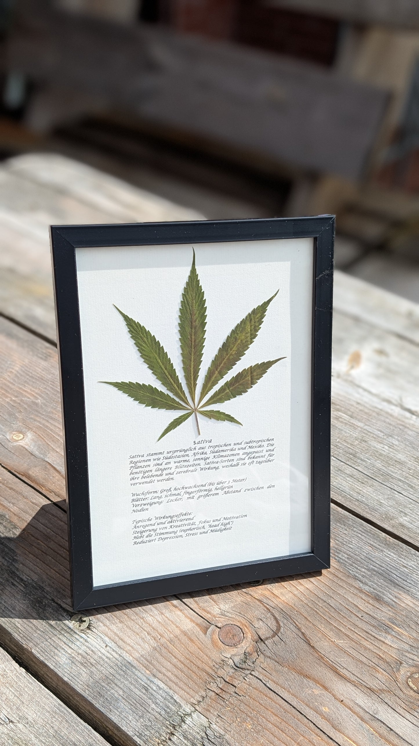 Cannabis Deko Naturbild