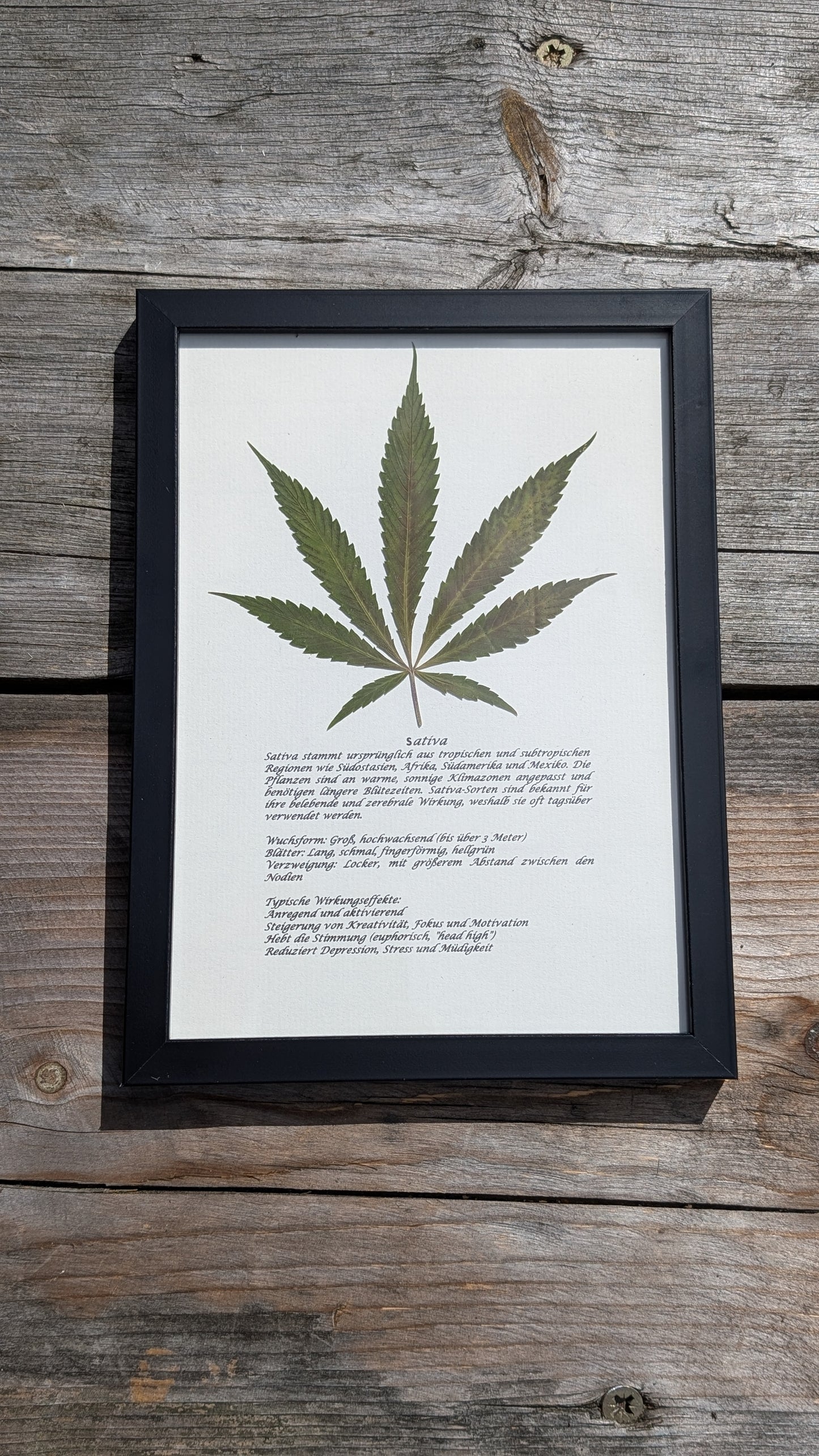 Cannabis Deko Naturbild