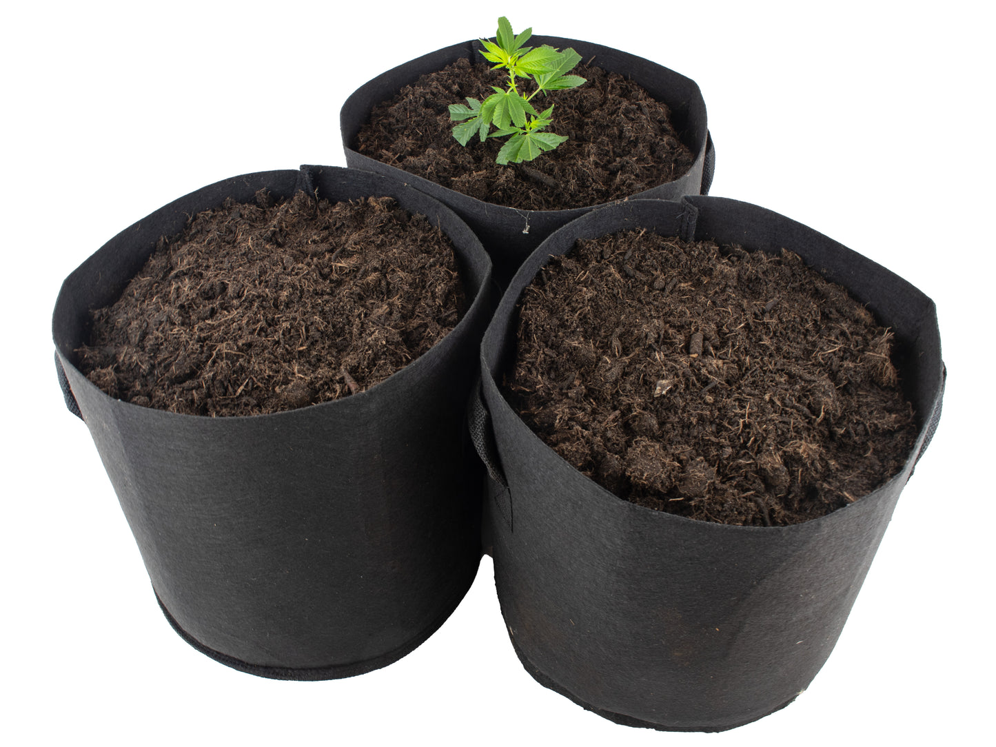 Premium Cannabis Anbau Starterset